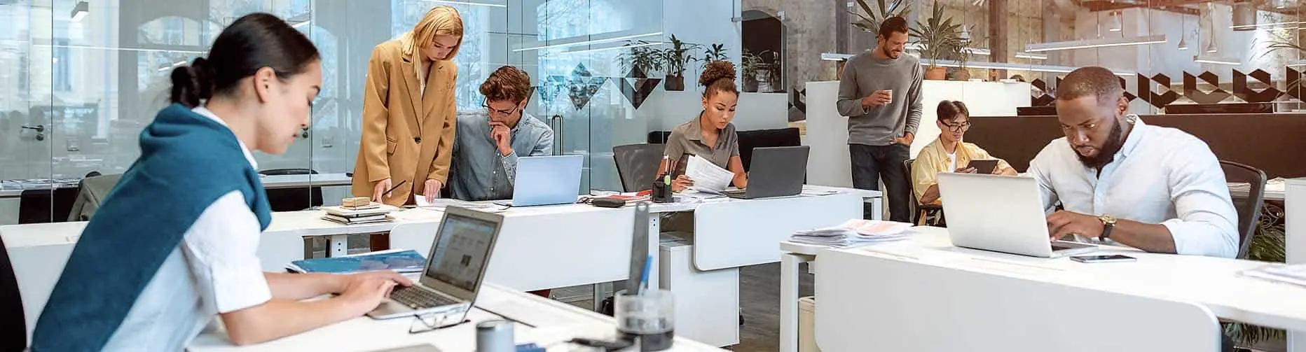 Professional-Dev_header