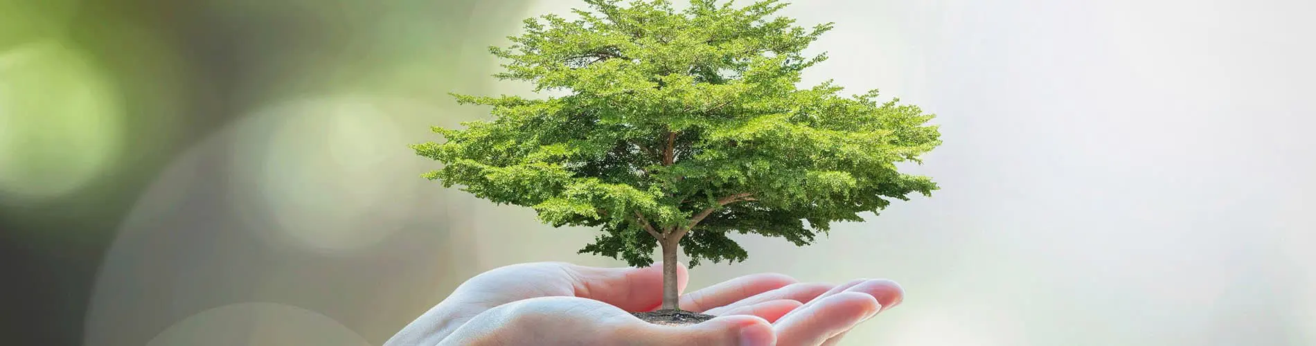 Examining WELL: Q&A with Syska’s Xun Jia, Performance Testing Agent